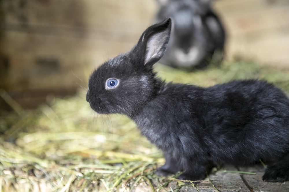 Photograph by Регина Егорова