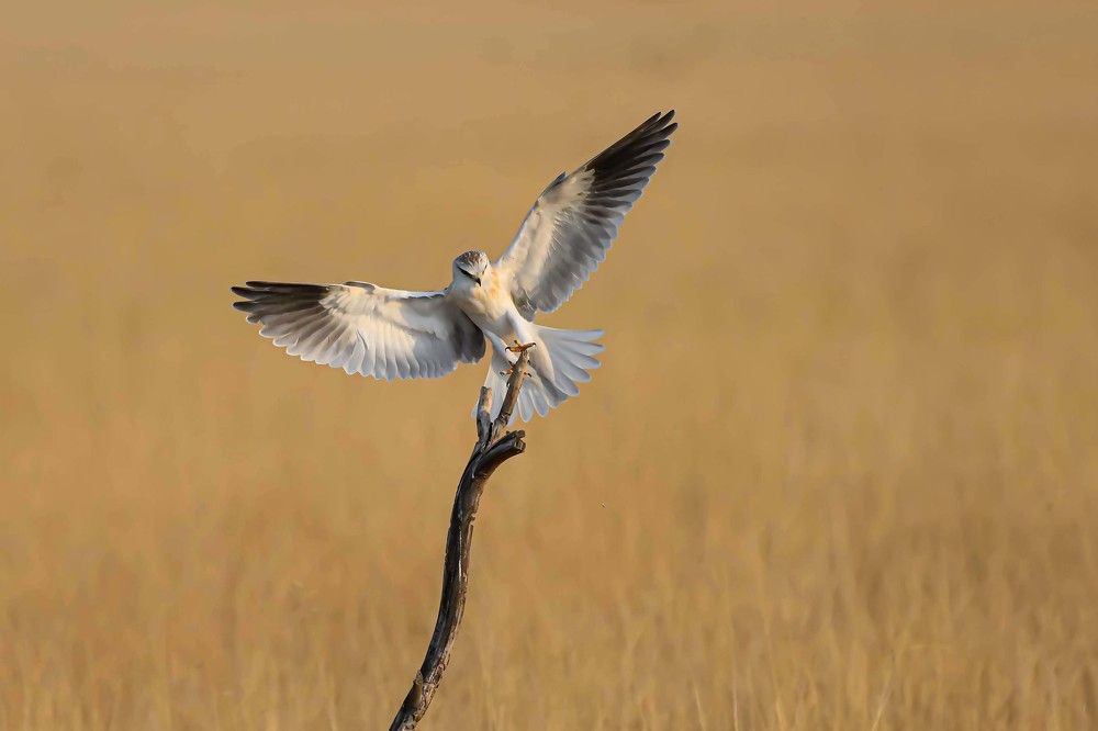 Photograph by SACHIN MATKAR