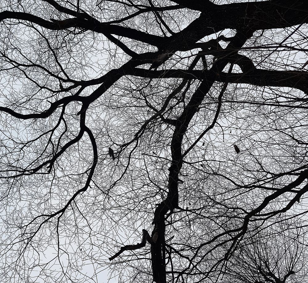 Photograph by Nataliya Kalinina