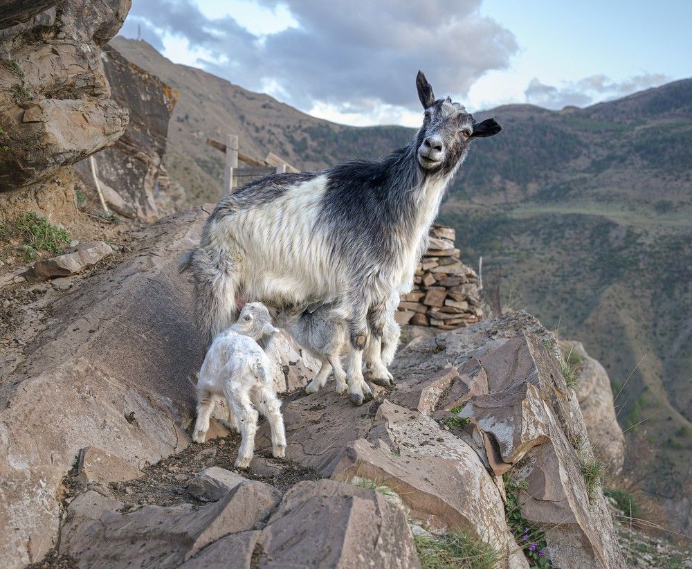 Photograph by Екатерина Рябкова