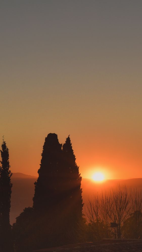 Photograph by Mailén Moisello