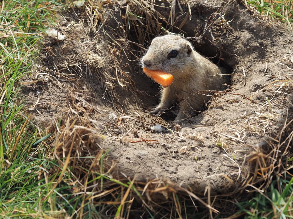 Photograph by Елена Шишкина