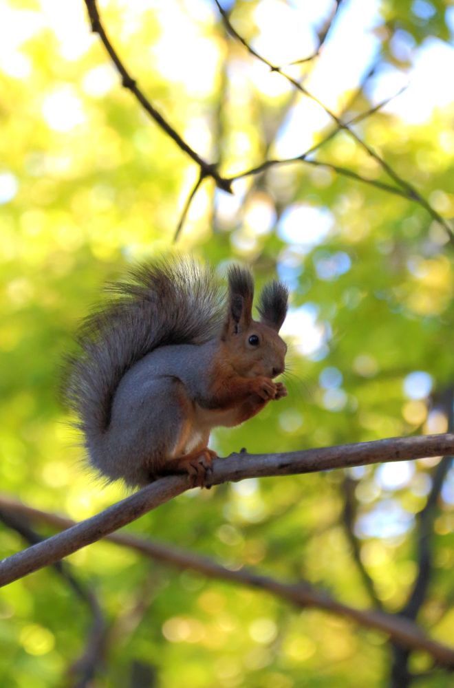 Photograph by Юрий Варюхин