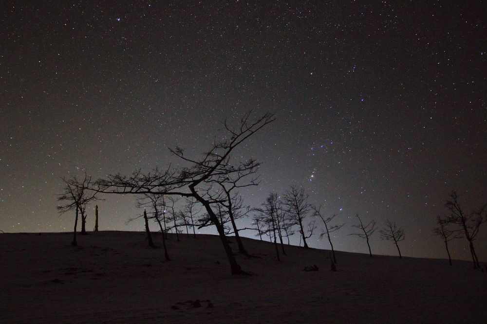Фотография автора Колосова Елена