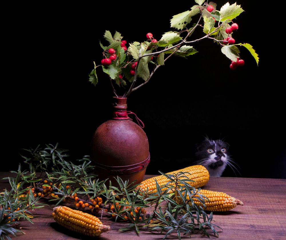 натюрморт с кошкой