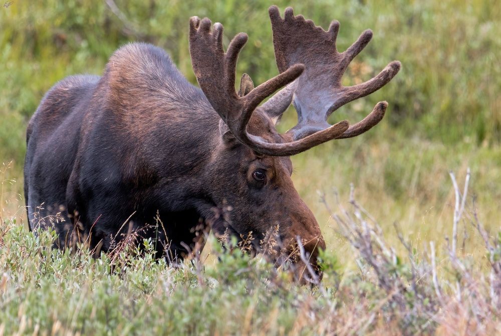 Photograph by Elaina Holland