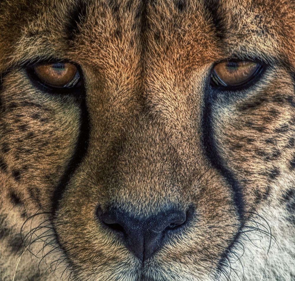 Photograph by Aleš Maučec