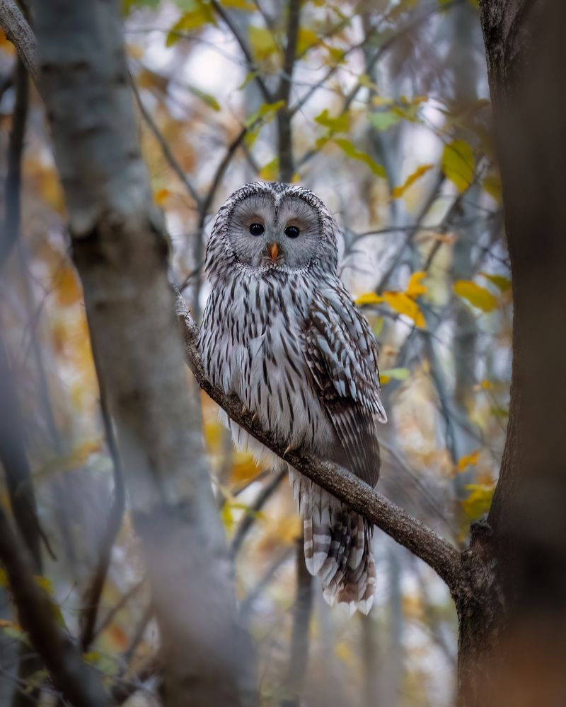 Photograph by George Alexandru Ghiuro