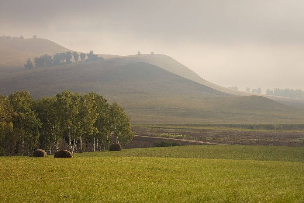 Фотография автора Сергей Шульга