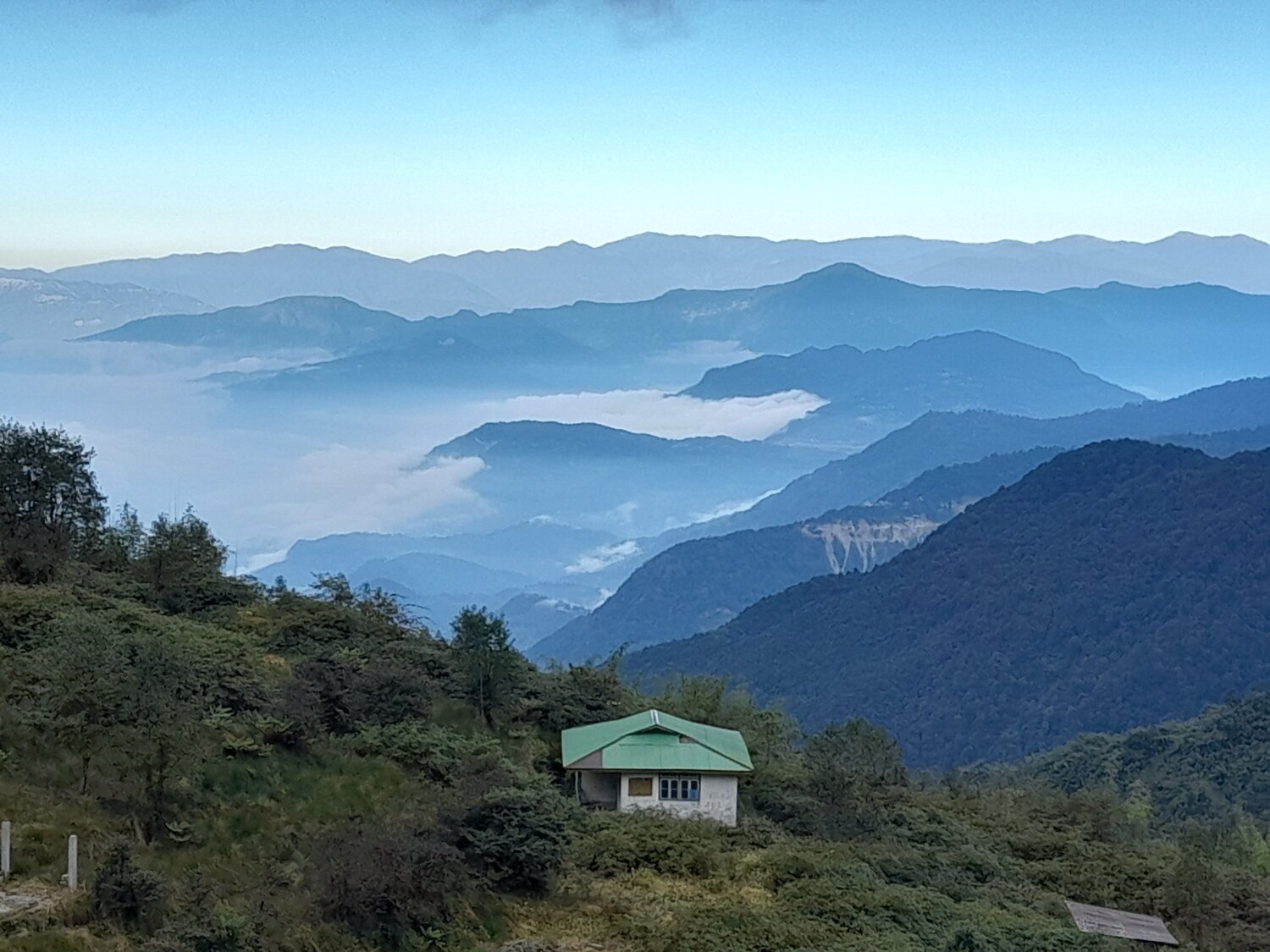 Photo #9886789