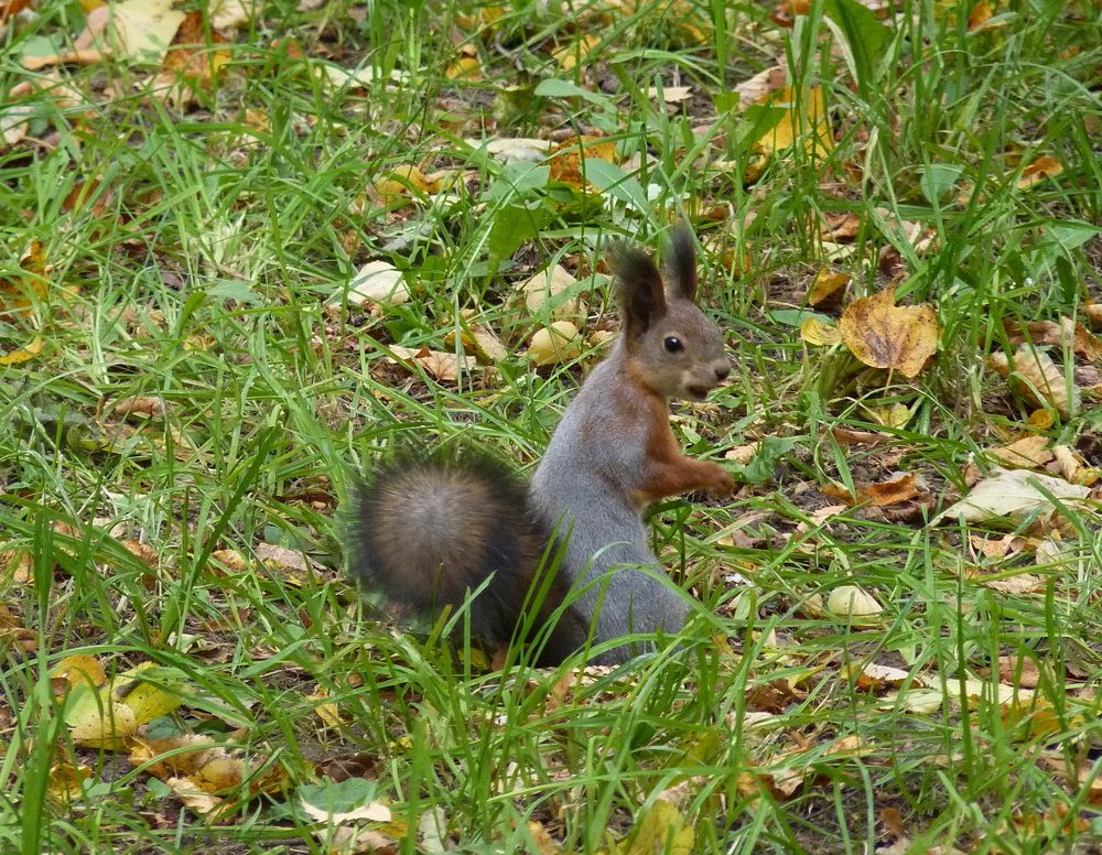 Photograph by Galina Leskova