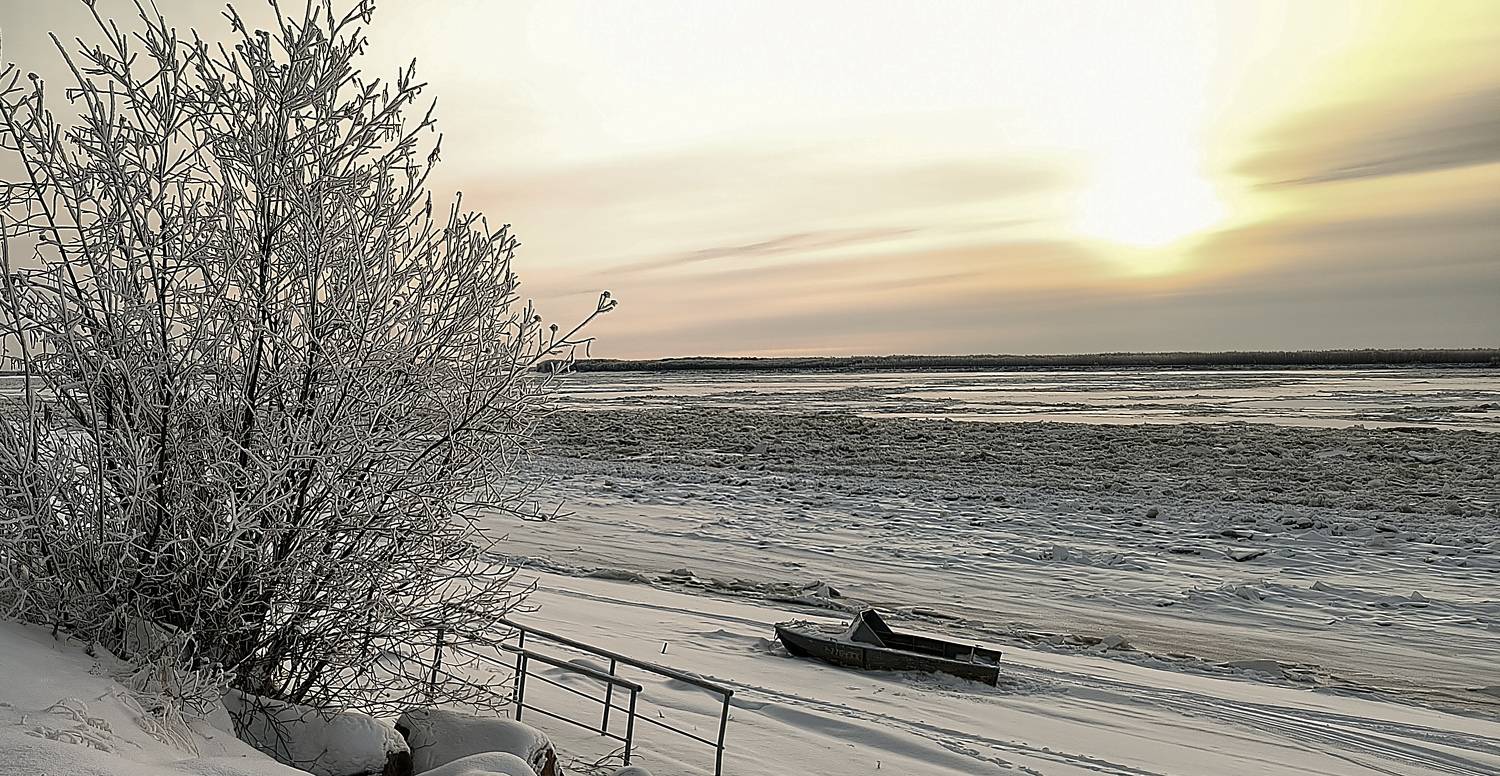 Photo #9886829
