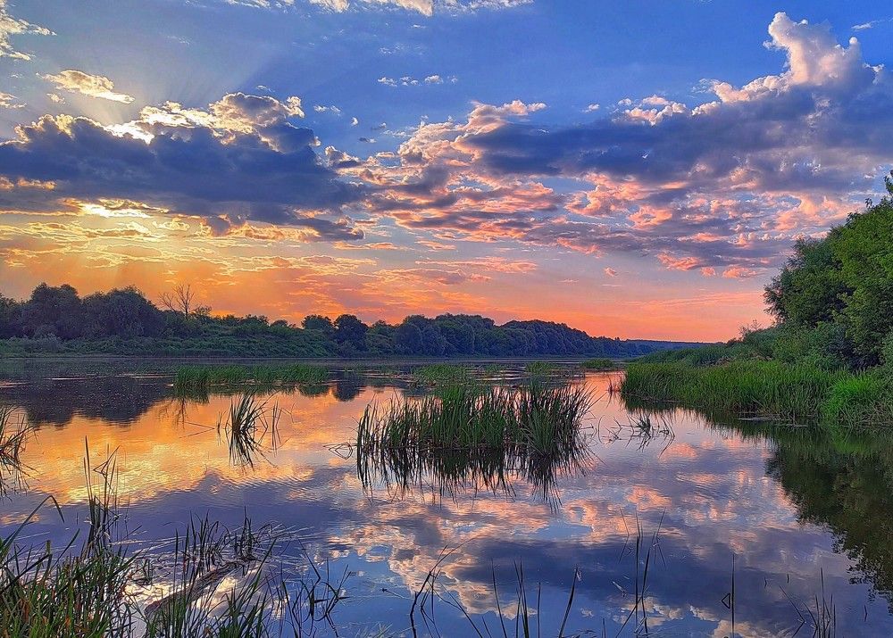 Утро на реке Дон