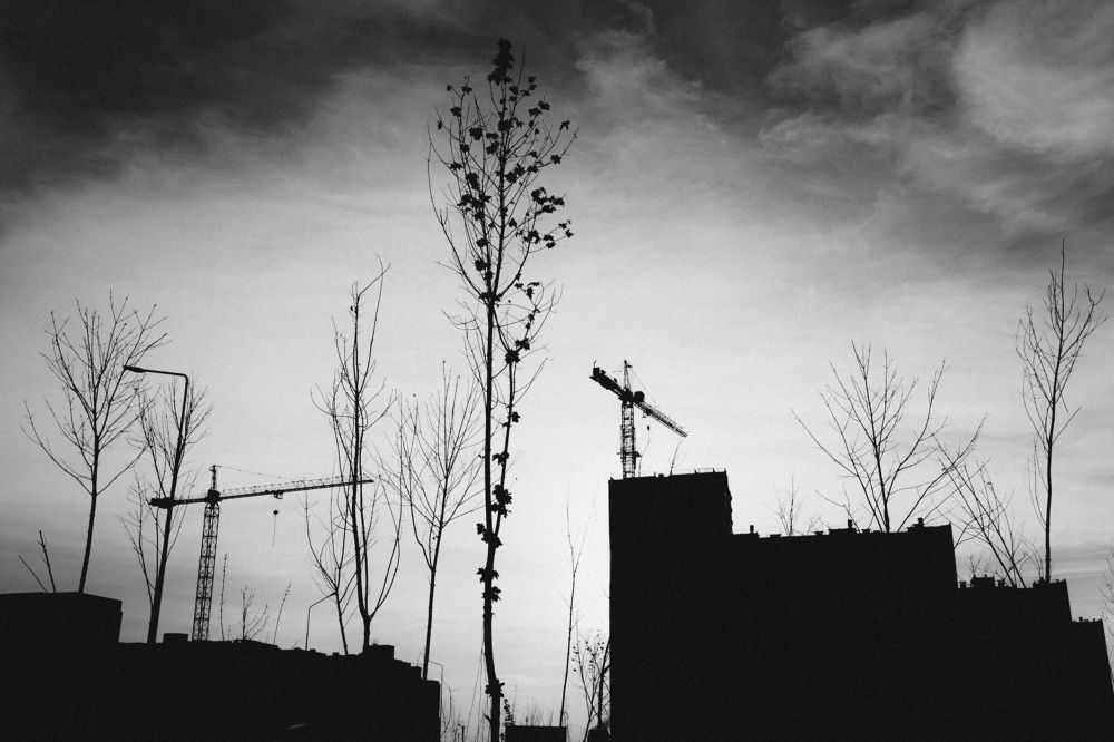 Photograph by Пиленгас Александр