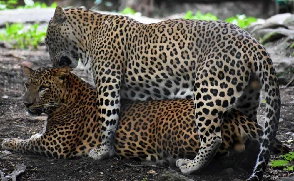 Photograph by akhil varikuti m