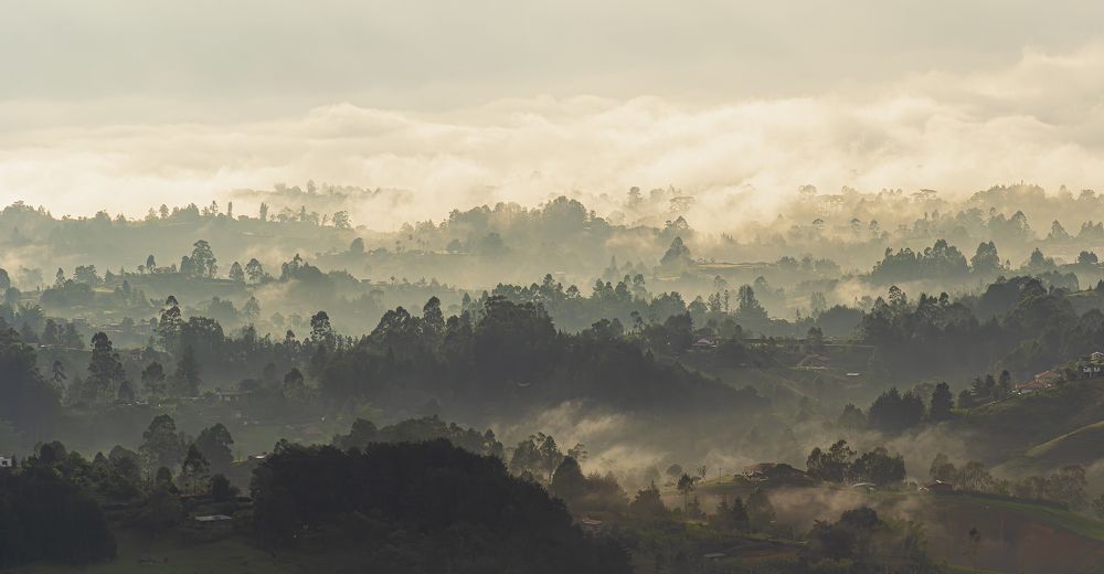 Photograph by Ricardo A. Restrepo L.