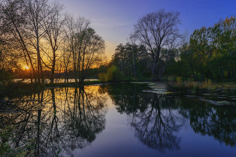 Photograph by Владислав Никишин