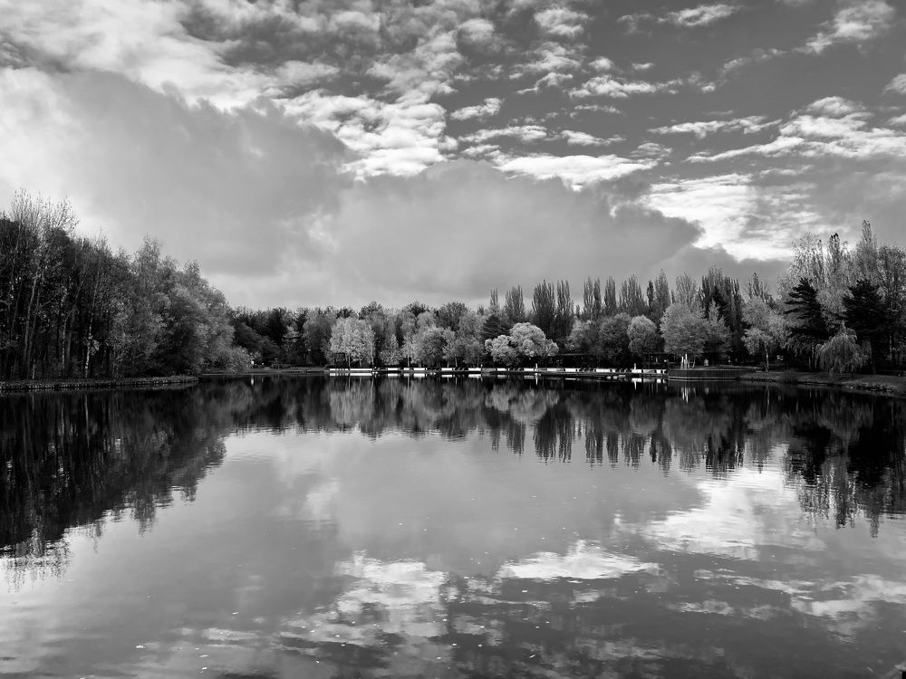 Photograph by Ирина