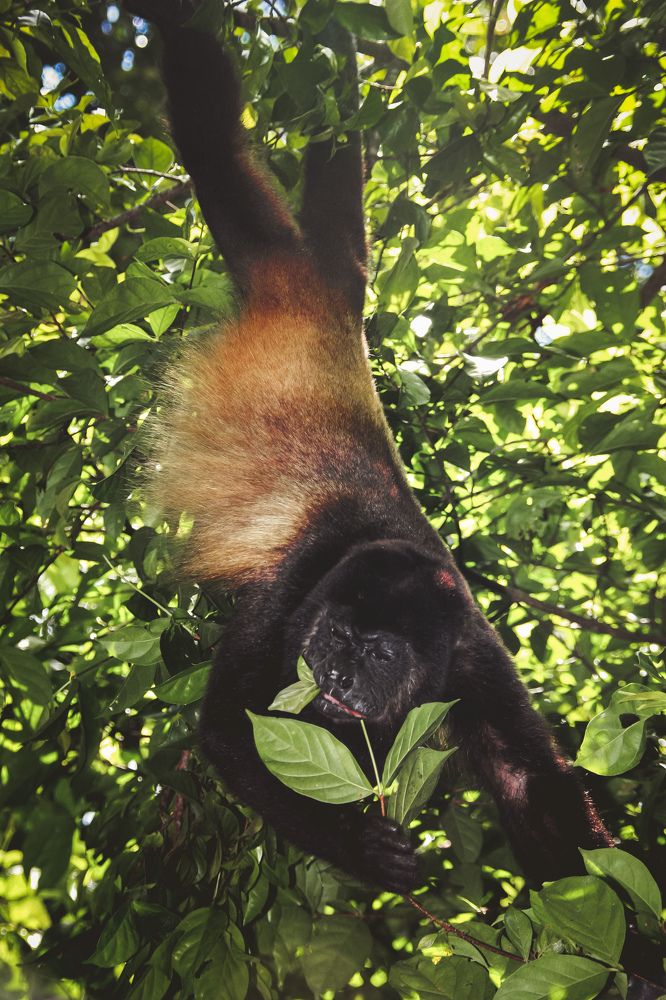 Фотография автора Марина Алексеевская