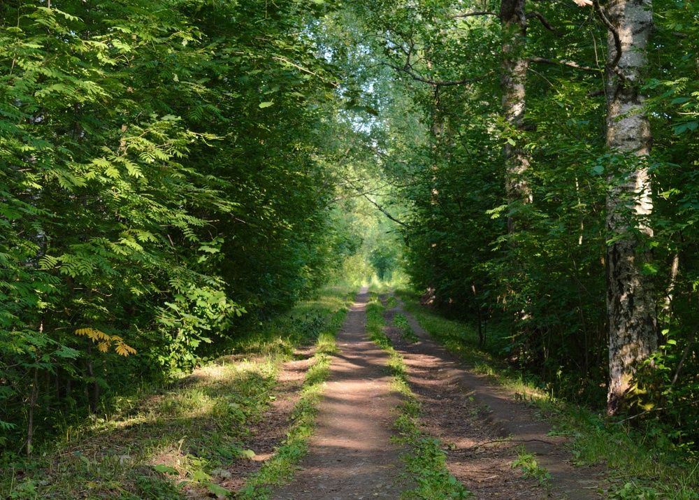 В Макаринской роще