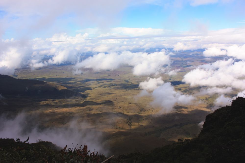 Фотография автора Марина Алексеевская