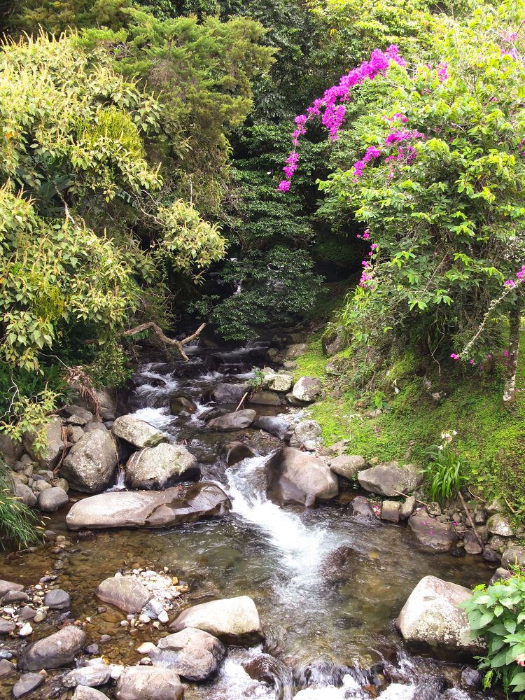 Фотография автора Марина Алексеевская