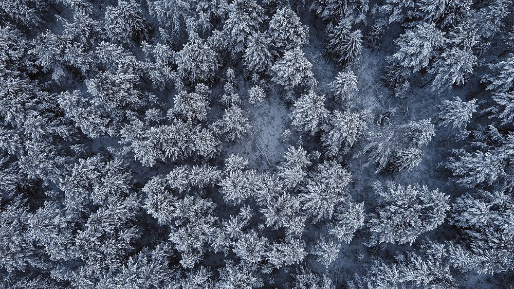 Зимний пейзаж