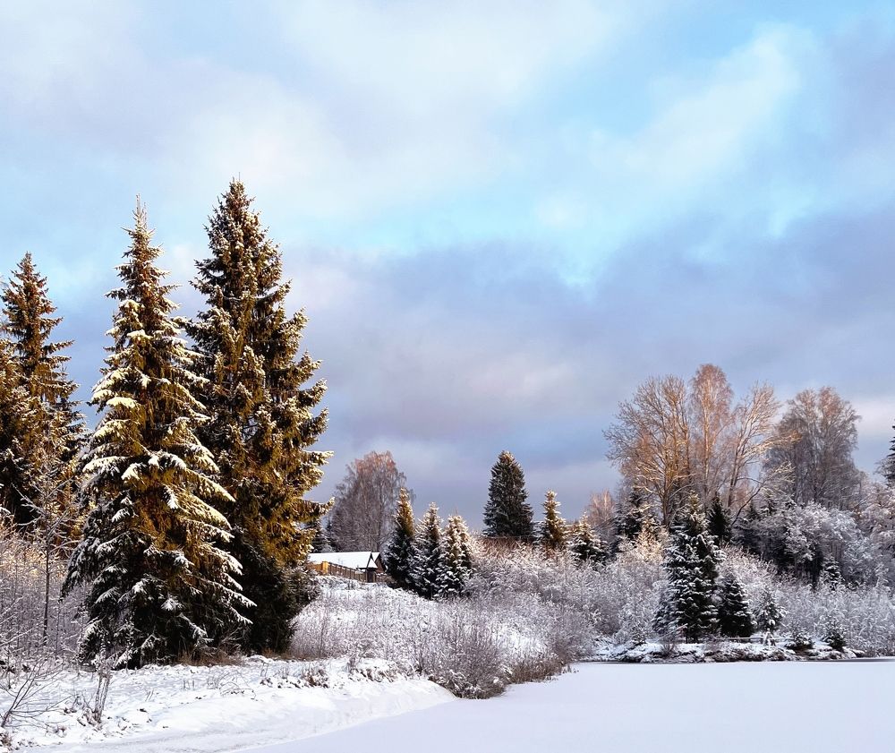 Photograph by Елена Павлова