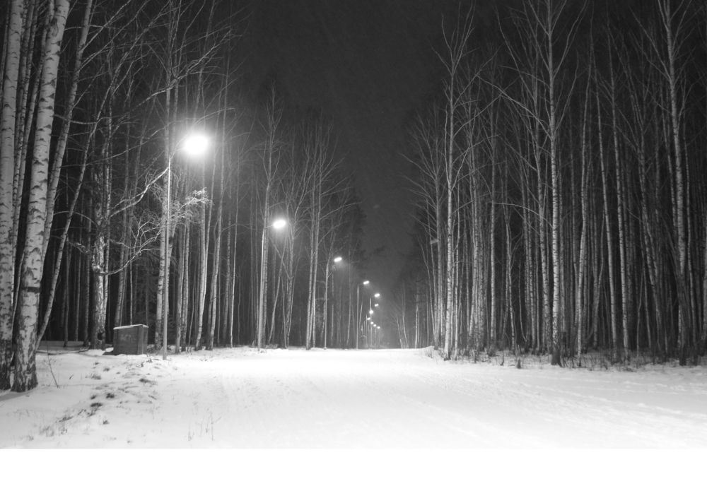 Photograph by Баженова Наталья