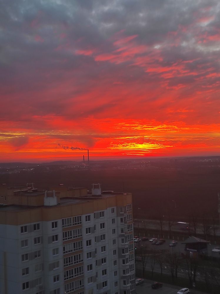 Фотография автора Елена Драко