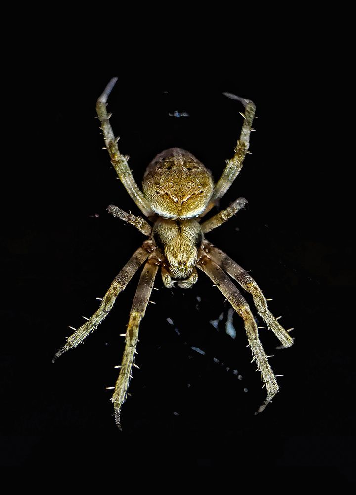 Photograph by Subham bidhar