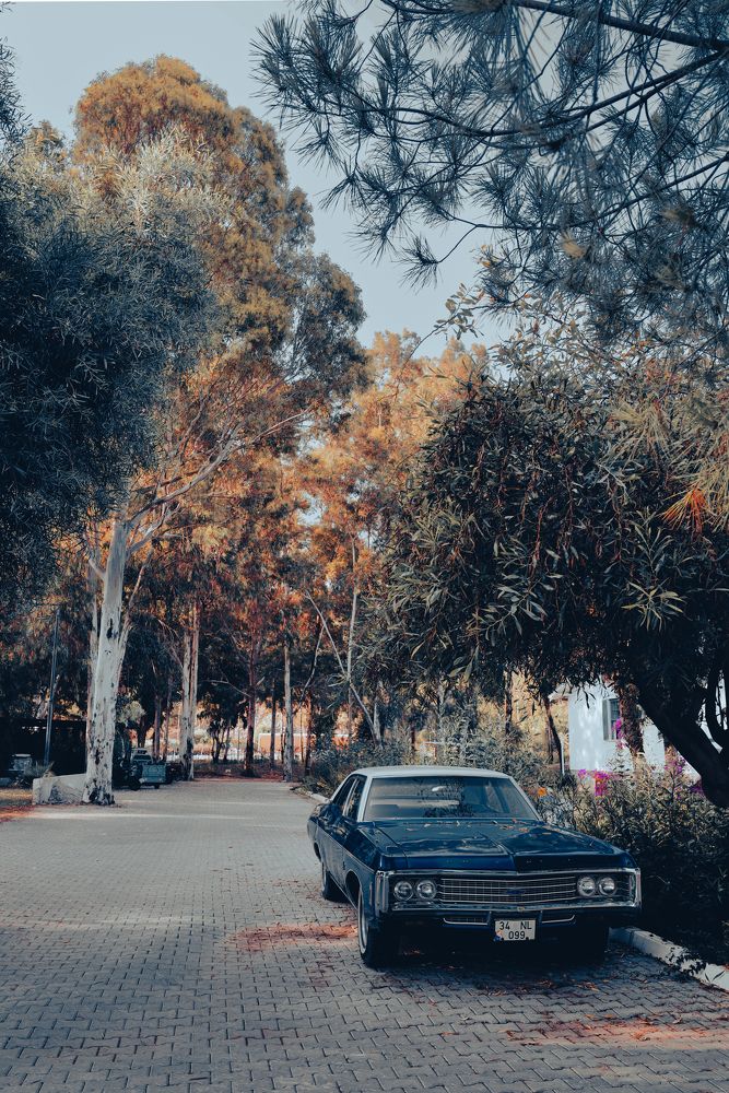 Photograph by Inna Skryagina