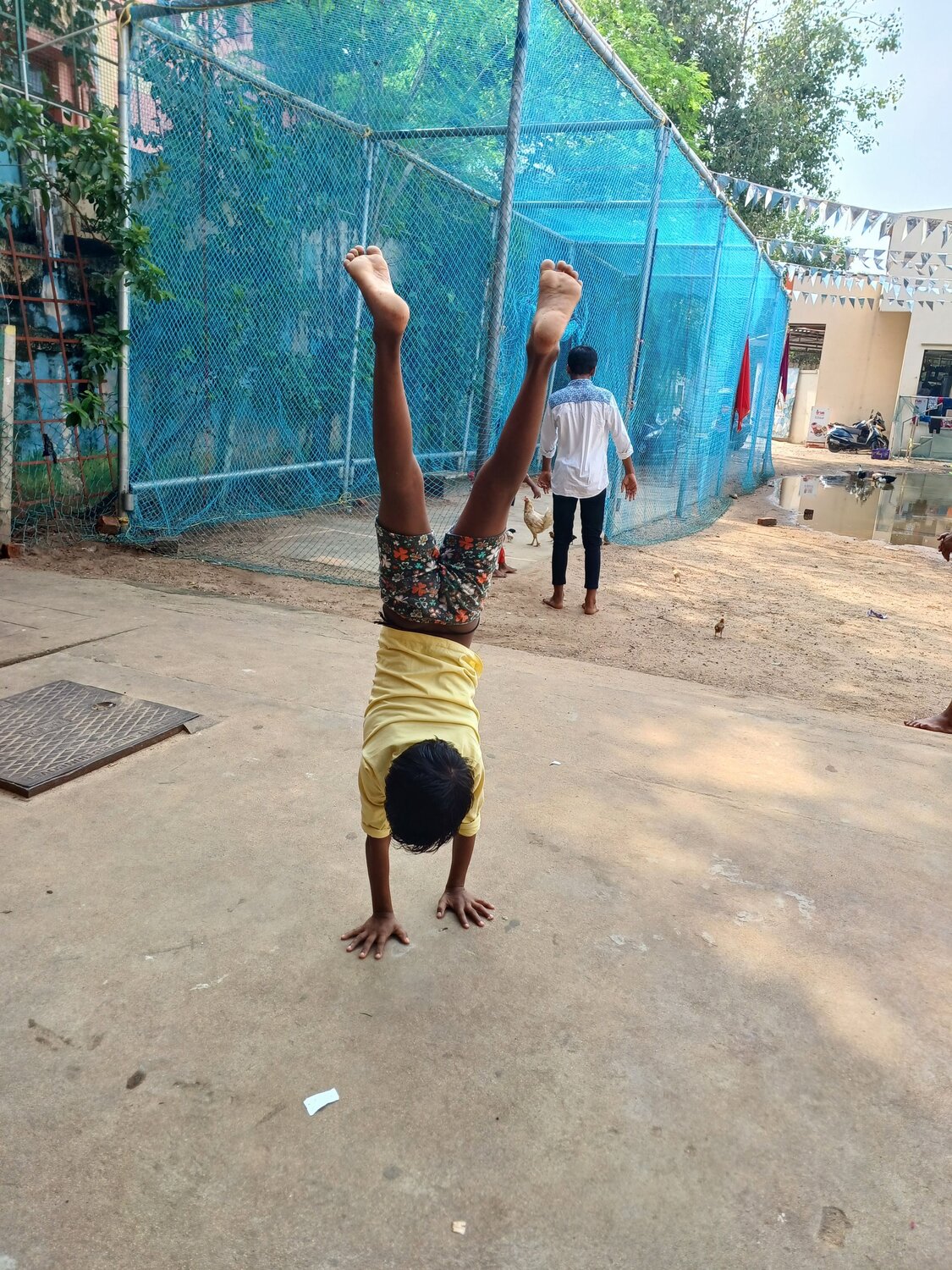 Photo #9887381