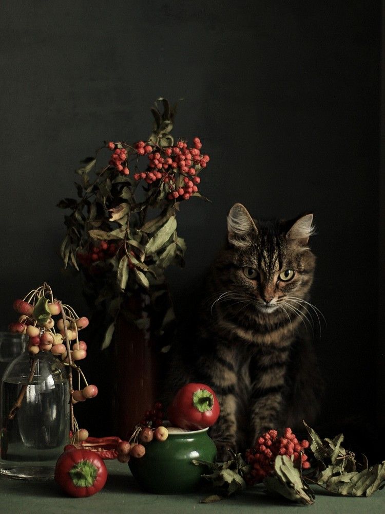 Photograph by Евсеева Валентина