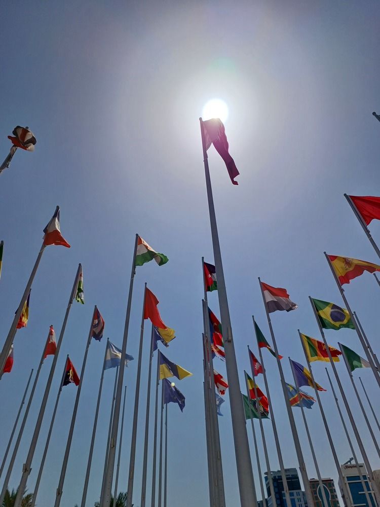 Фотография автора Shreya Suraj