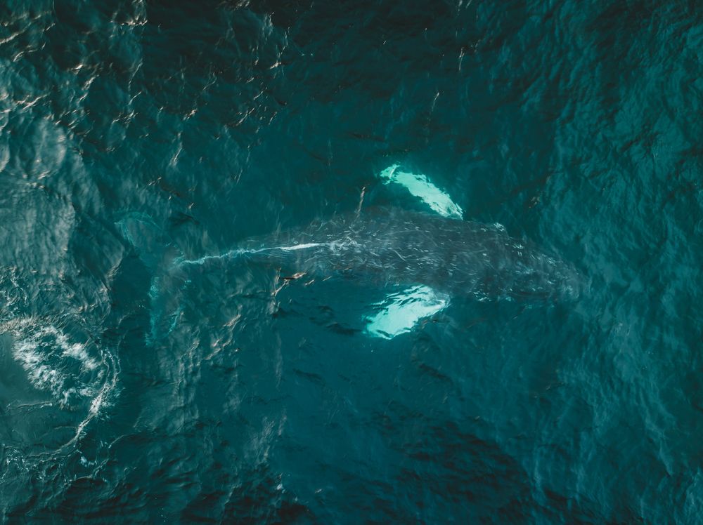 Фотография автора Pavel Reshetov