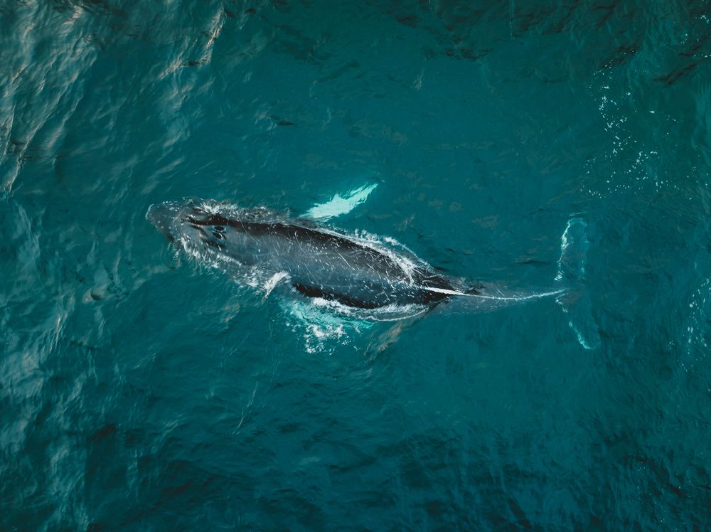 Photograph by Pavel Reshetov