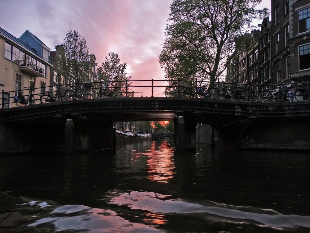 Photograph by Мила Милая