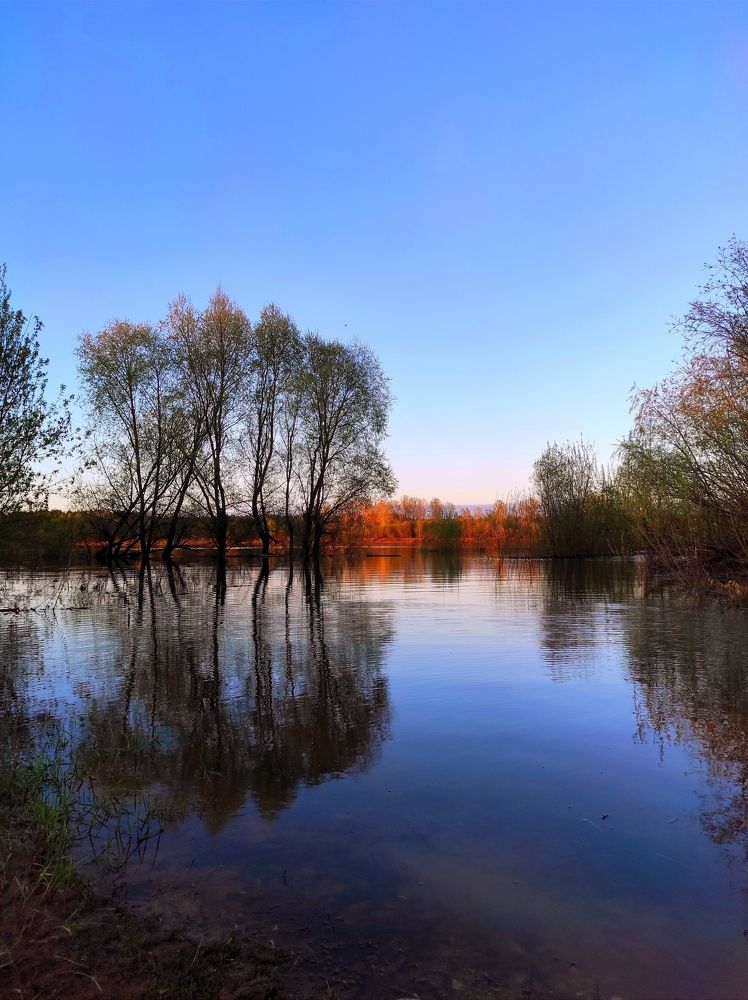 Весенний разлив.