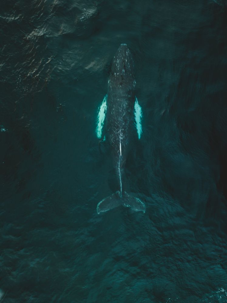 Фотография автора Pavel Reshetov