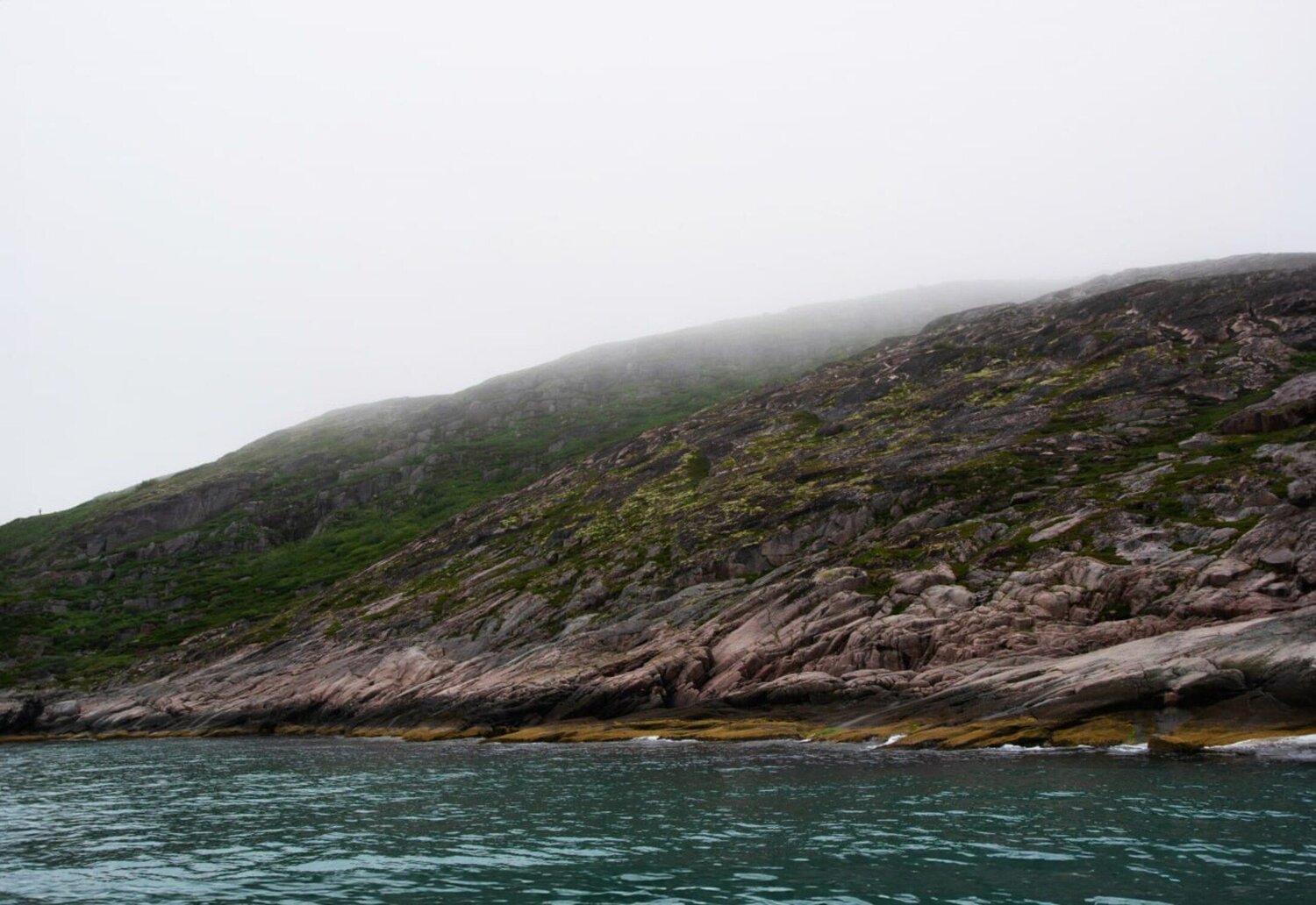Photo #9887557