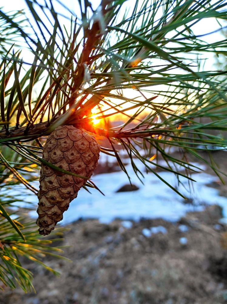 Photograph by Надежда