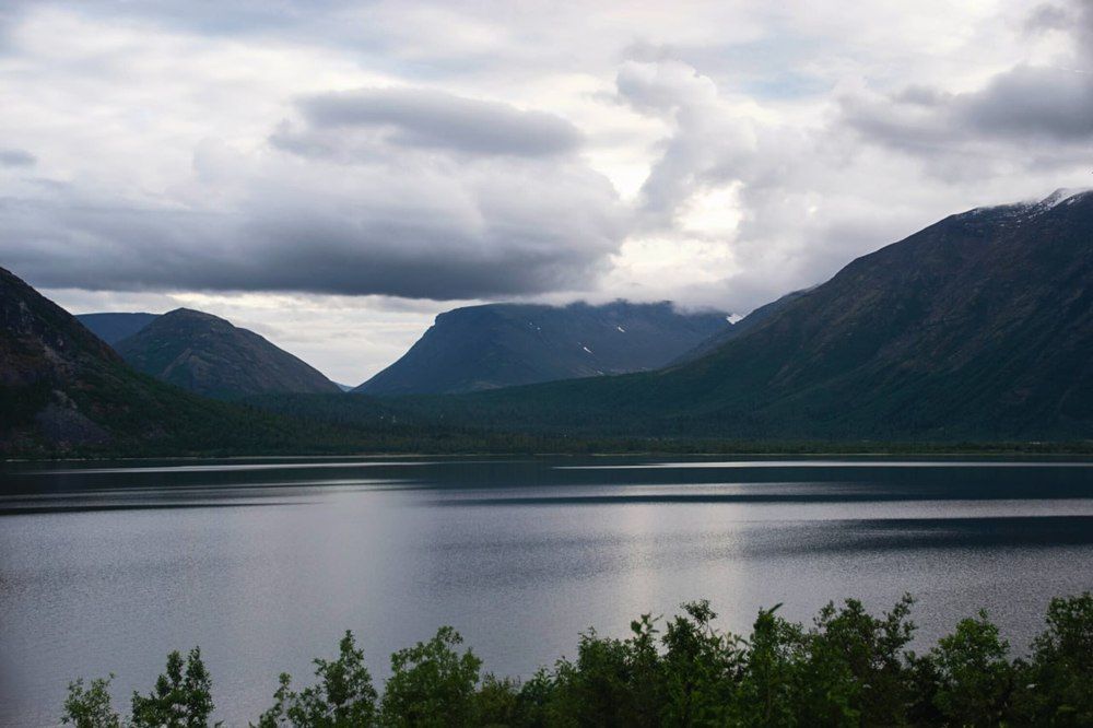 Photograph by Анастасия