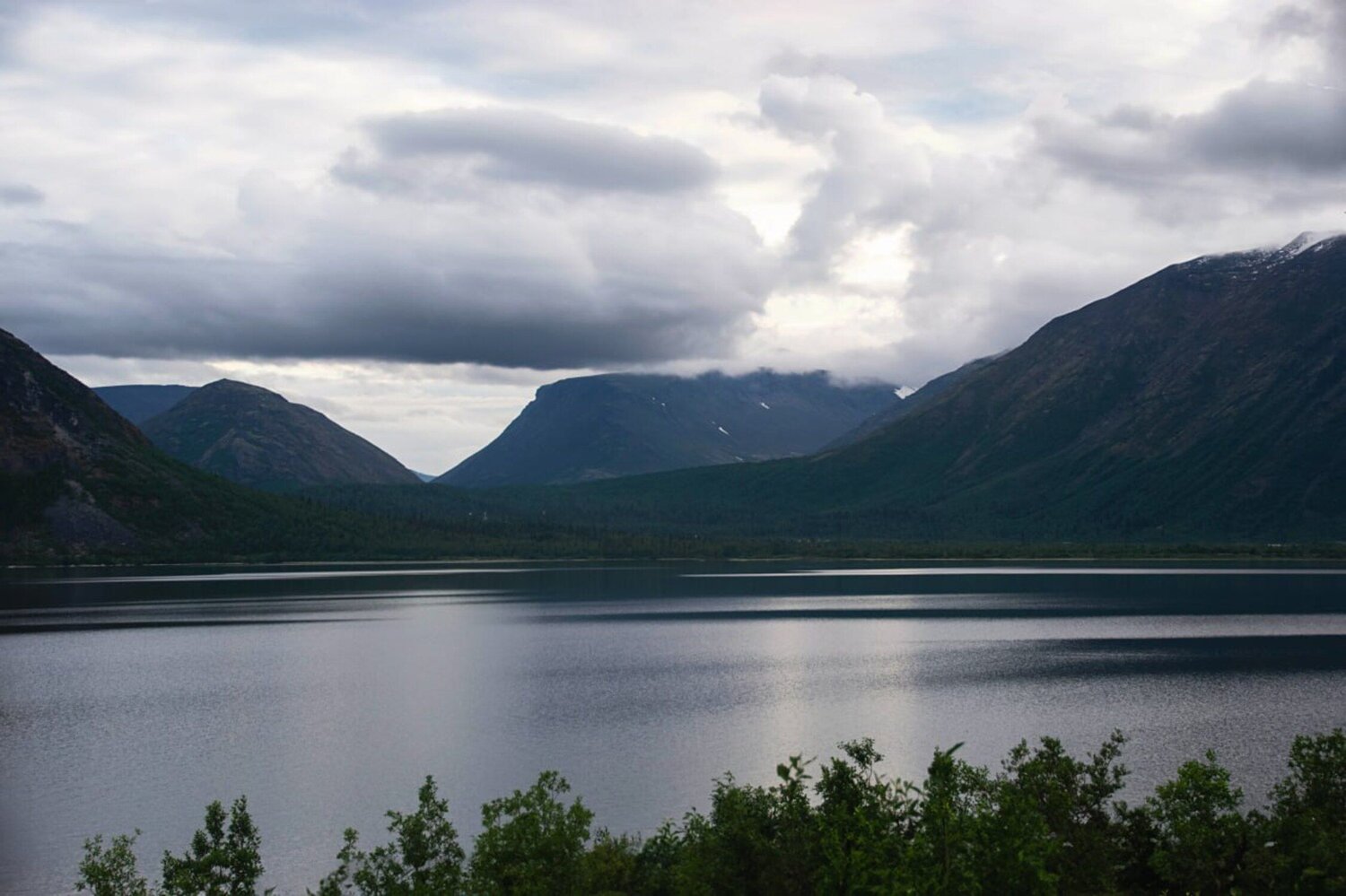 Photo #9887600