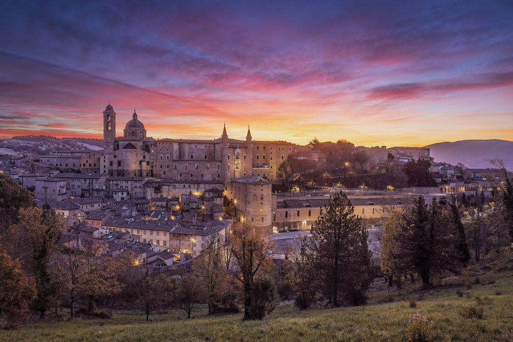 Photograph by Christian  Bolognese