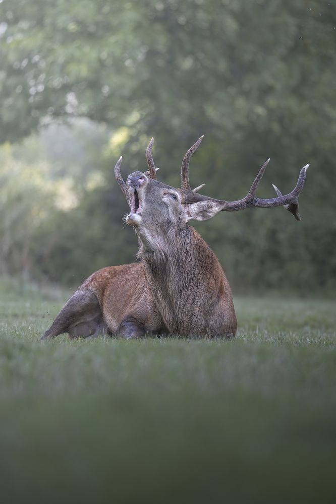 Photograph by Christian  Bolognese