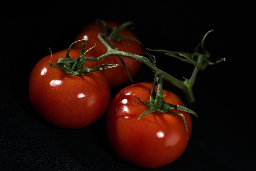 Фотография автора Войнов Дмитрий