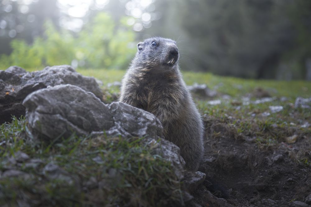 Photograph by Christian  Bolognese