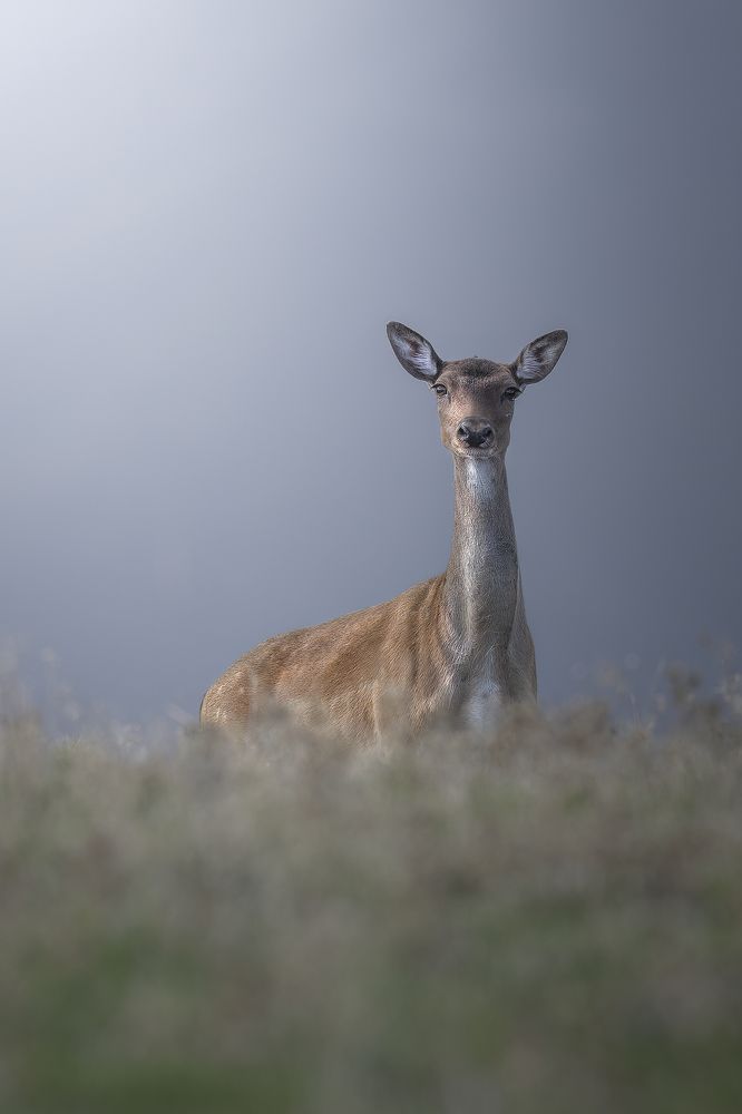 Photograph by Christian  Bolognese