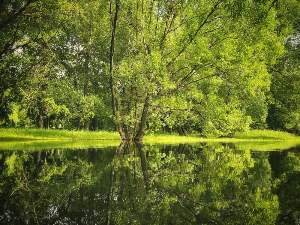 Photograph by Дмитрий Тельнов